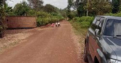 PRIME RESIDENTIAL PLOTS FOR SALE IN KITHOKA, MERU