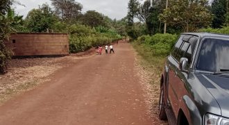 PRIME RESIDENTIAL PLOTS FOR SALE IN KITHOKA, MERU
