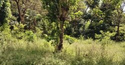 PRIME RESIDENTIAL PLOTS FOR SALE IN KITHOKA, MERU