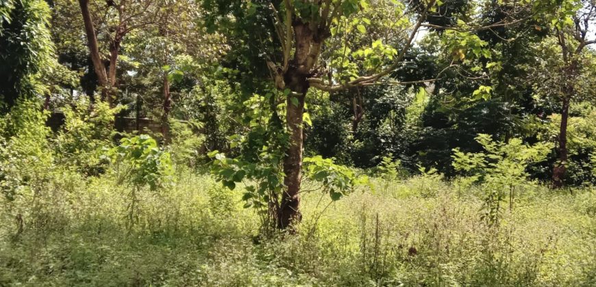 PRIME RESIDENTIAL PLOTS FOR SALE IN KITHOKA, MERU