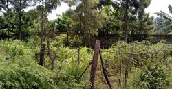 PRIME RESIDENTIAL PLOTS FOR SALE IN KITHOKA, MERU