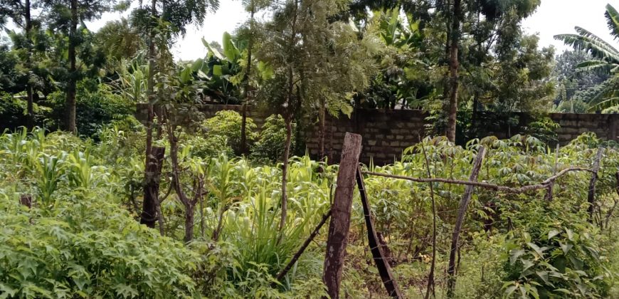 PRIME RESIDENTIAL PLOTS FOR SALE IN KITHOKA, MERU
