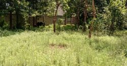 PRIME RESIDENTIAL PLOTS FOR SALE IN KITHOKA, MERU