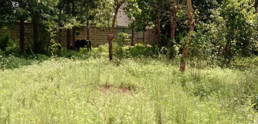 PRIME RESIDENTIAL PLOTS FOR SALE IN KITHOKA, MERU