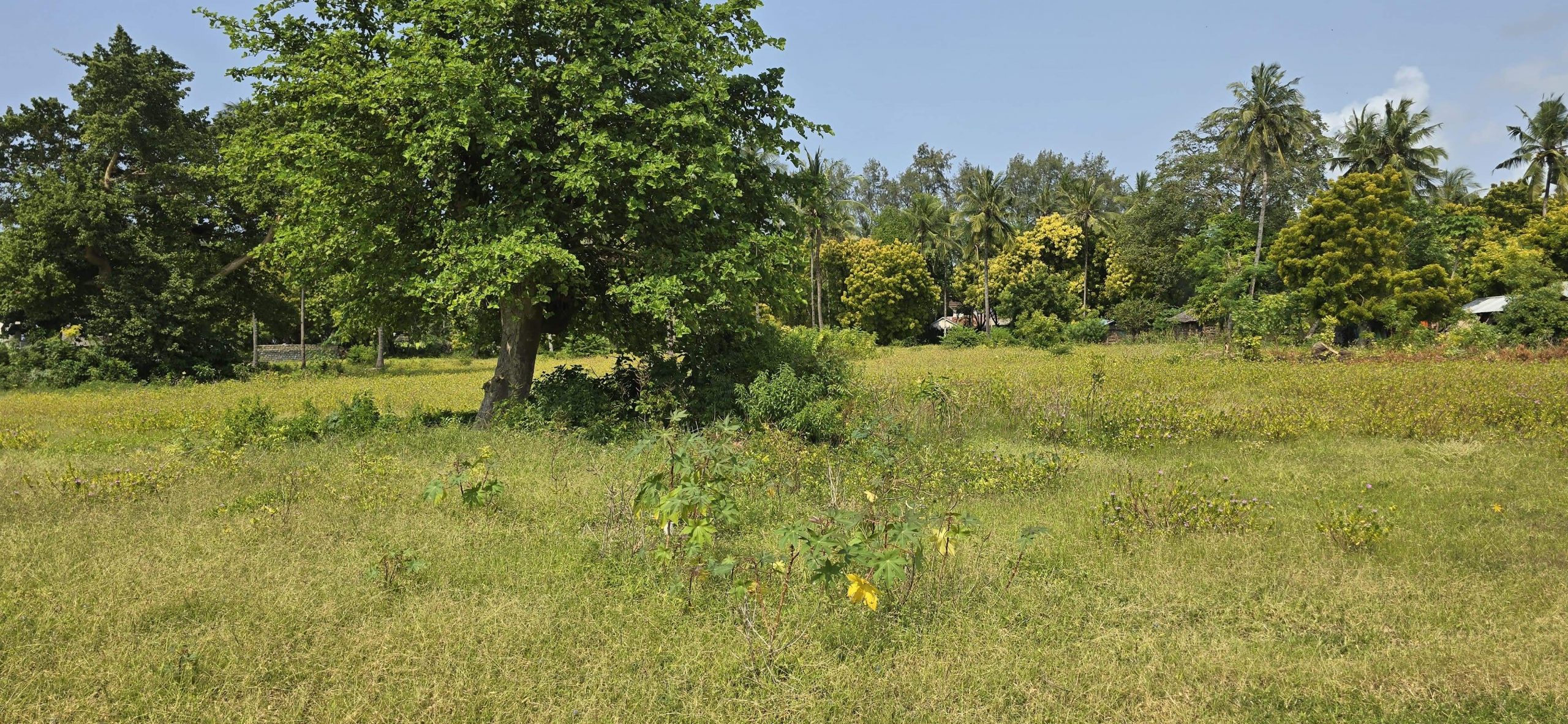 0.24 Acre Beach Plot for Sale in Kikambala | 2nd Row to the Beach with Ocean Views