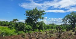 0.24 Acre Plots for Sale in Vipingo | 3rd Row from the Beach – Ksh 3.85M
