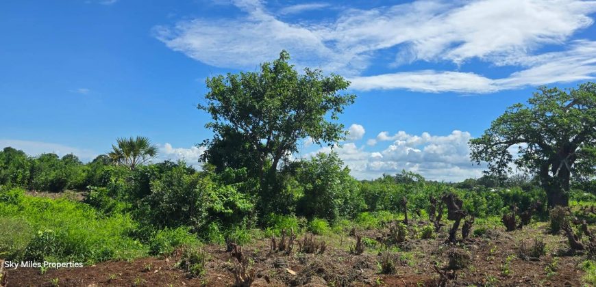0.24 Acre Plots for Sale in Vipingo | 3rd Row from the Beach – Ksh 3.85M