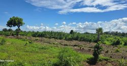 0.24 Acre Plots for Sale in Vipingo | 3rd Row from the Beach – Ksh 3.85M