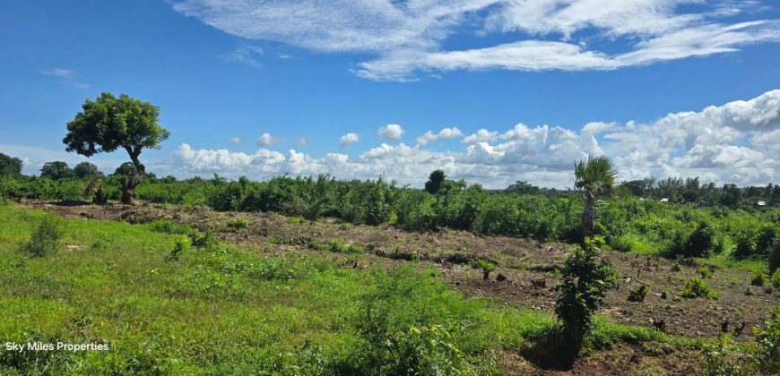 0.24 Acre Plots for Sale in Vipingo | 3rd Row from the Beach – Ksh 3.85M