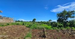 0.24 Acre Plots for Sale in Vipingo | 3rd Row from the Beach – Ksh 3.85M