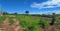 0.24 Acre Plots for Sale in Vipingo | 3rd Row from the Beach – Ksh 3.85M