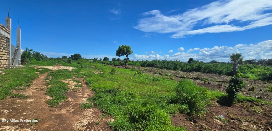 0.24 Acre Plots for Sale in Vipingo | 3rd Row from the Beach – Ksh 3.85M
