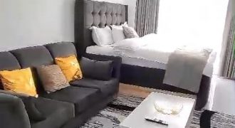Fully Furnished Studio Apartment for Rent in Kilimani