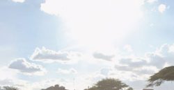 Prime 0.5 Acre Land for Sale in Donholm Nairobi | KSh 60M